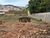 Terreno, 768 m² - Foto 3