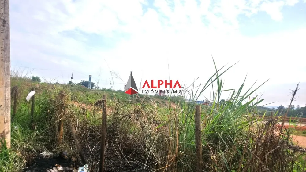 Terreno, 122200 m² - Foto 11