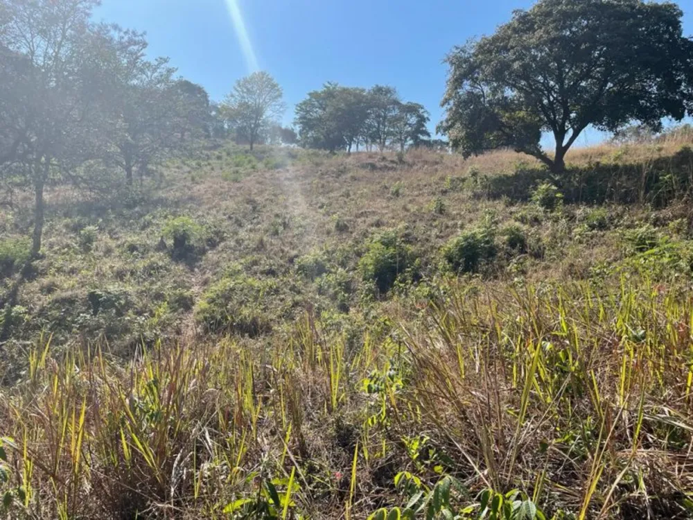Terreno, 44000 m² - Foto 12