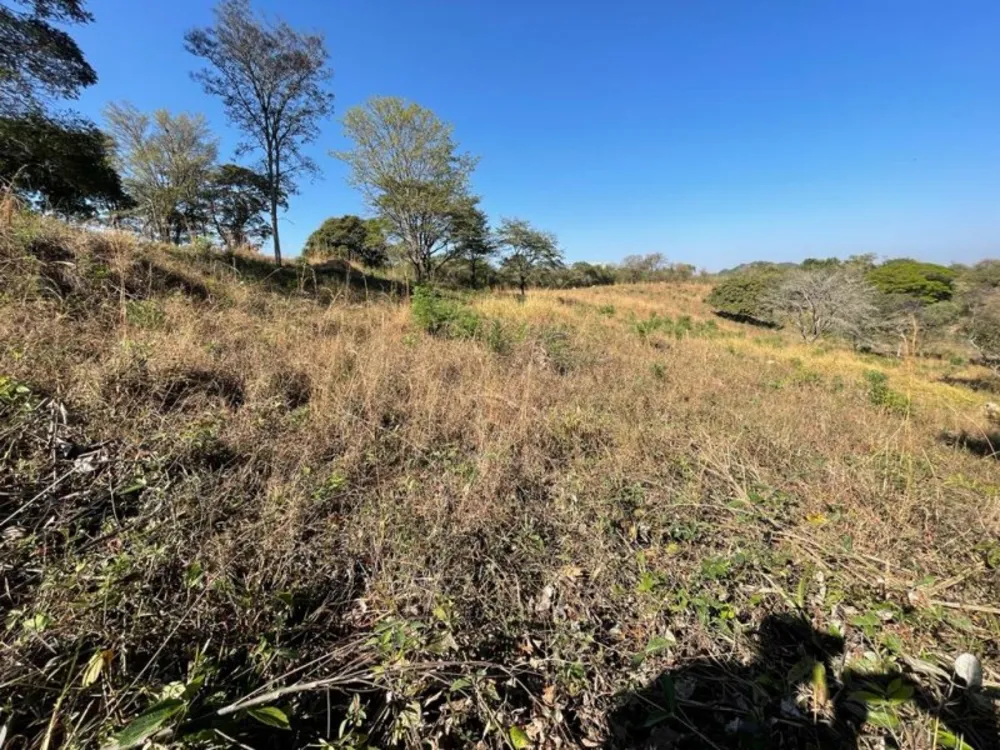 Terreno, 44000 m² - Foto 5