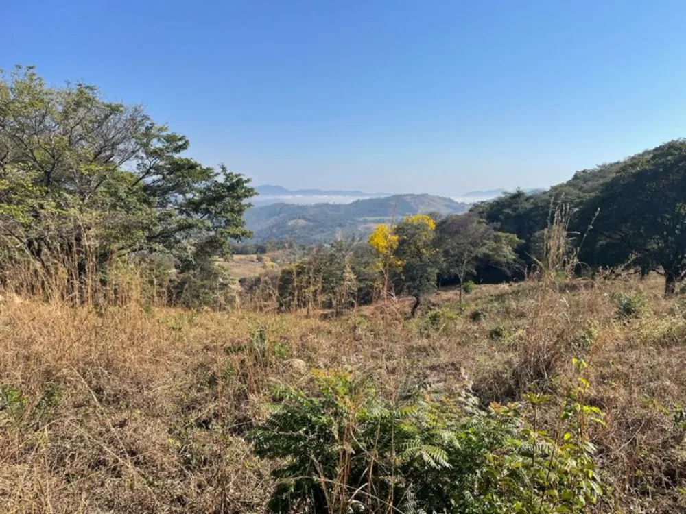 Terreno, 44000 m² - Foto 11