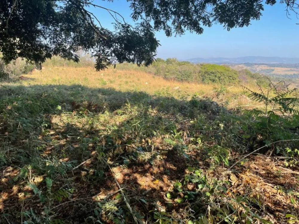 Terreno, 44000 m² - Foto 10