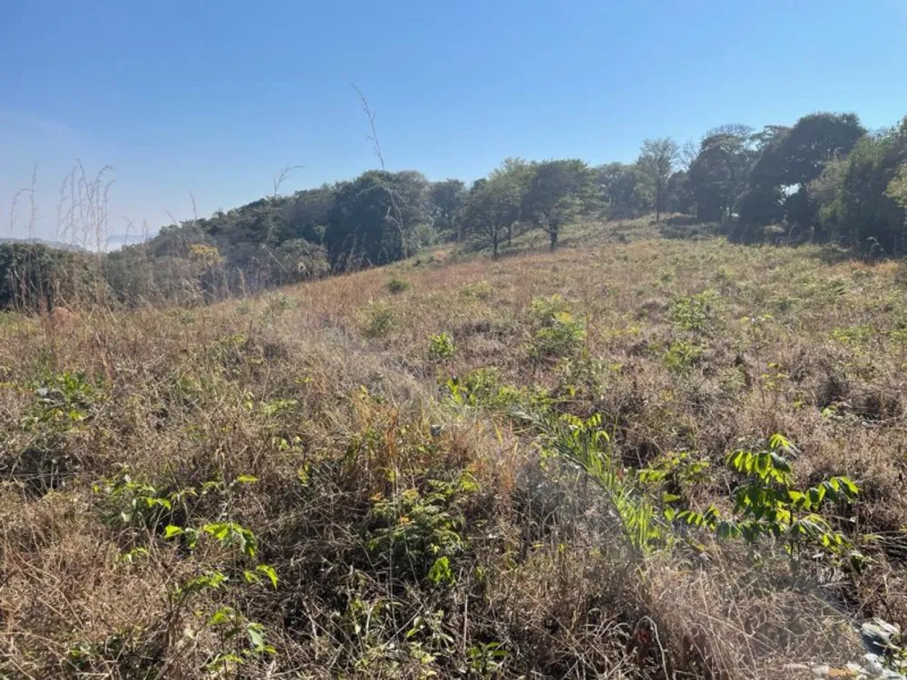Terreno, 44000 m² - Foto 9