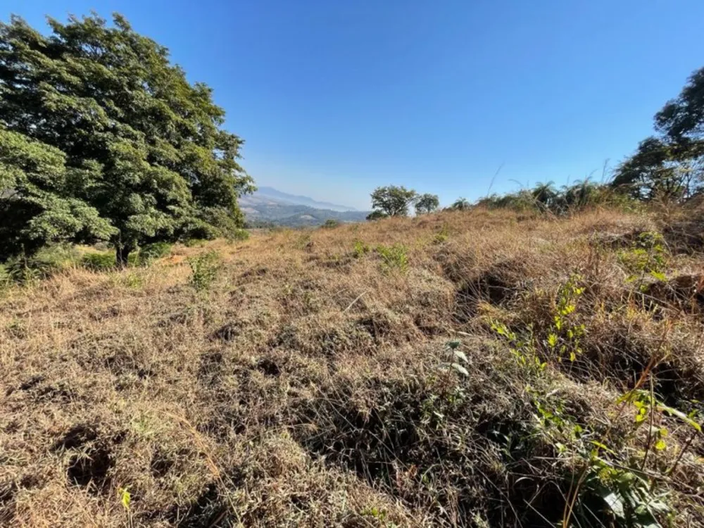 Terreno, 44000 m² - Foto 7