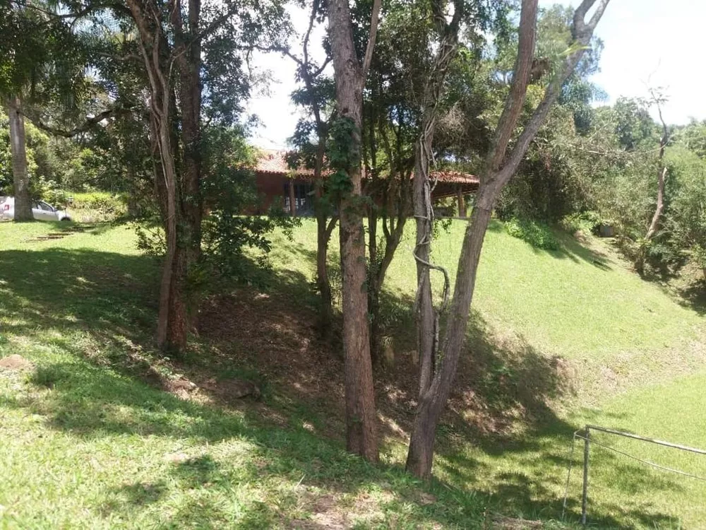 Chácara à venda com 4 quartos, 5000m² - Foto 9