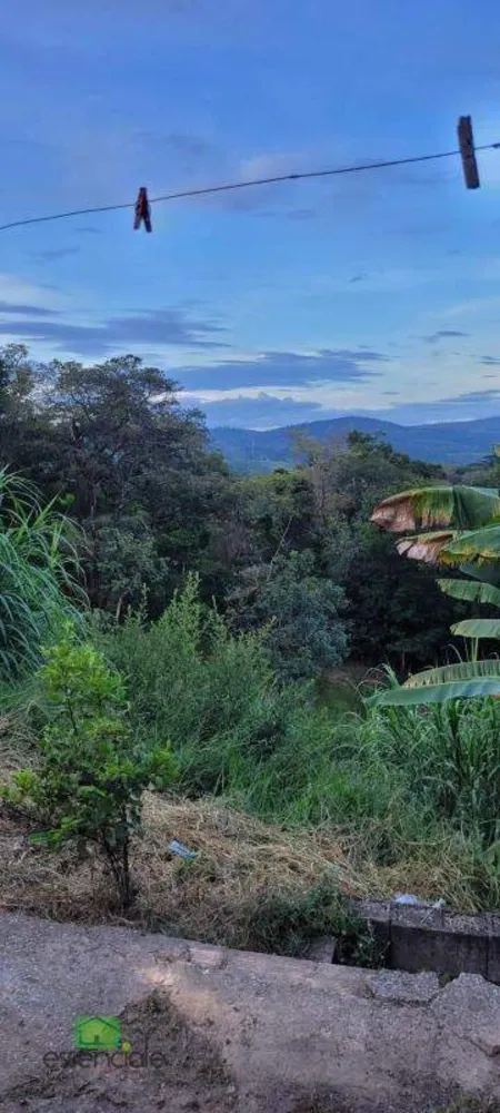 Chácara, 5 quartos, 5000 m² - Foto 3