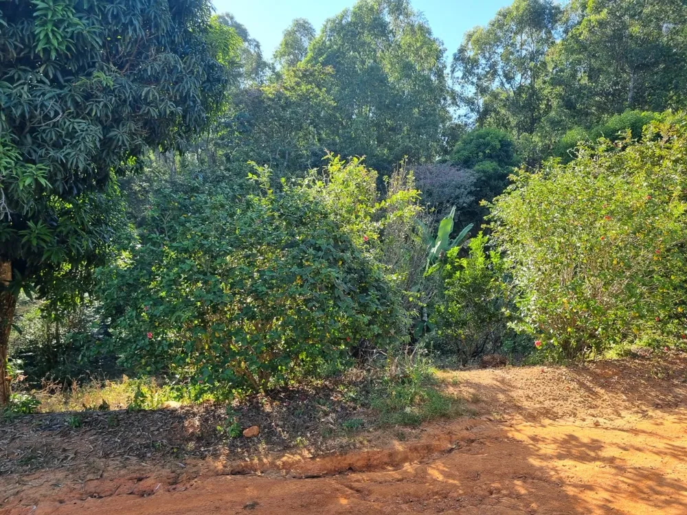 Sítio, 1 quarto, 80 m² - Foto 10