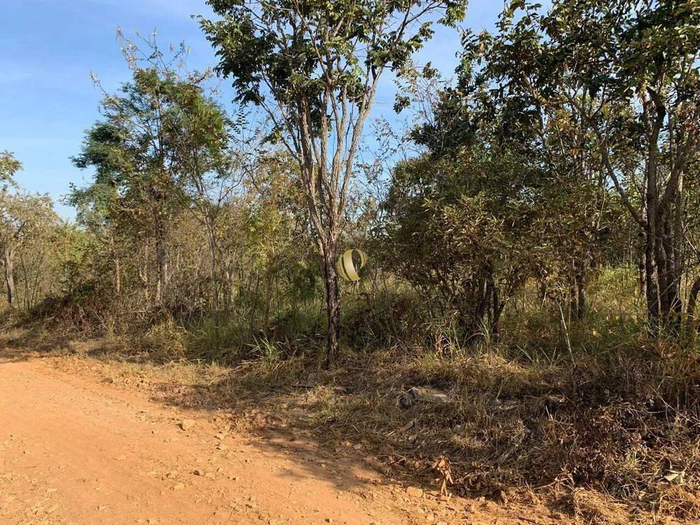 Terreno, 5000 m² - Foto 4