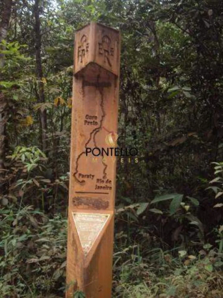 Terreno, 25 hectares - Foto 7