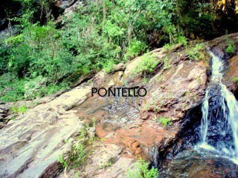 Terreno, 25 hectares - Foto 9