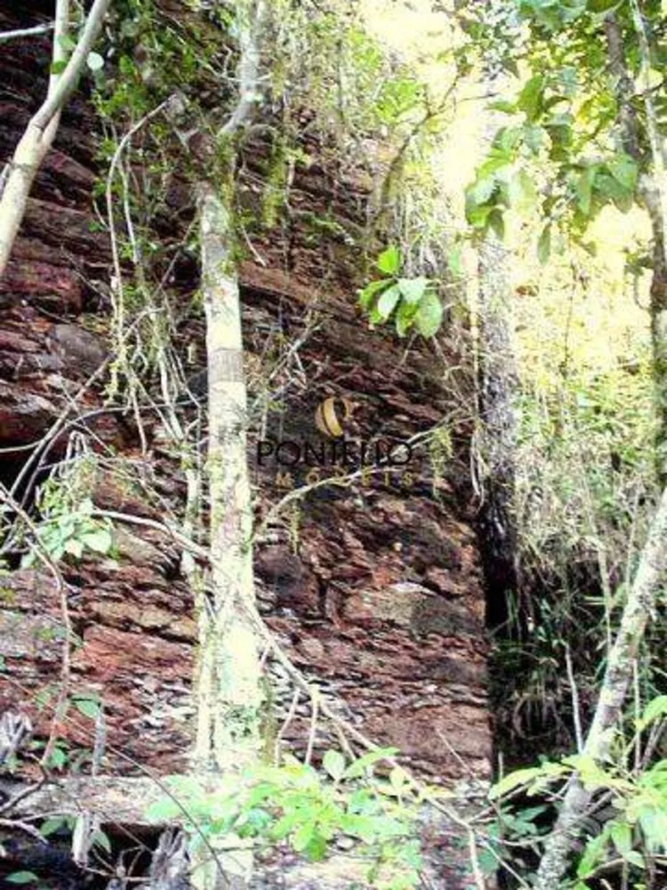 Terreno, 25 hectares - Foto 8