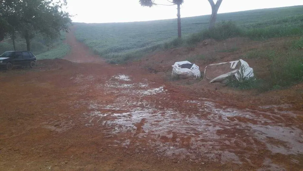 Fazenda, 90 hectares - Foto 11