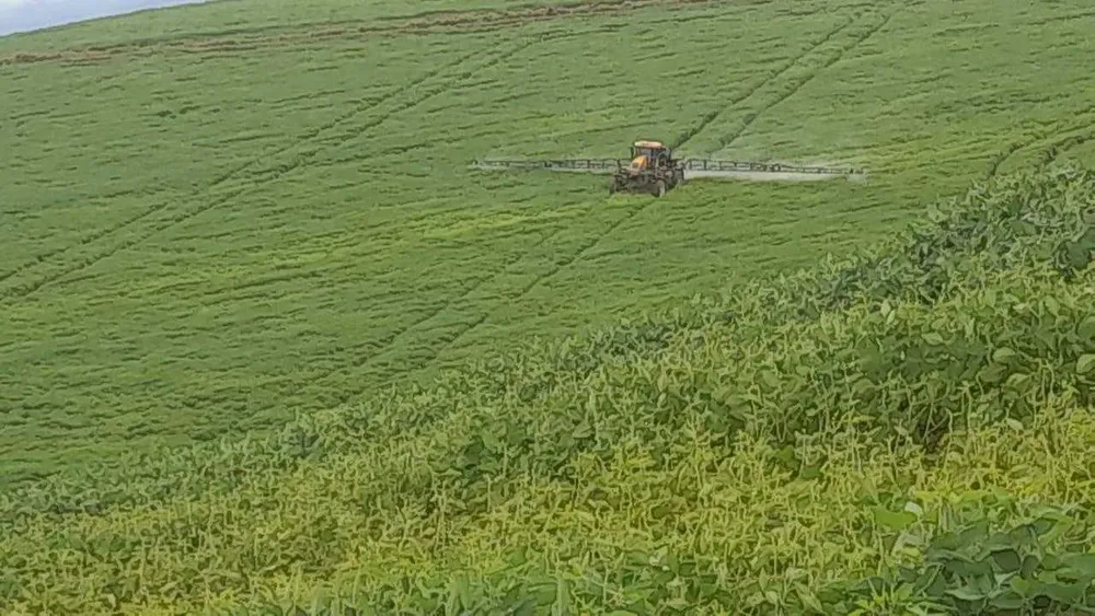 Fazenda, 90 hectares - Foto 9
