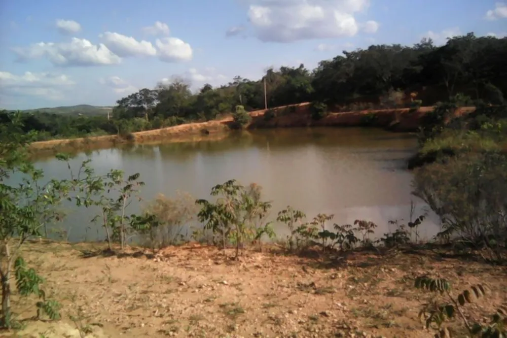 Terreno, 2 hectares - Foto 7
