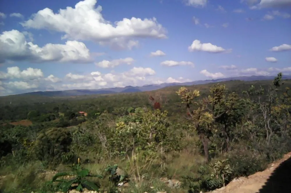 Terreno, 2 hectares - Foto 3