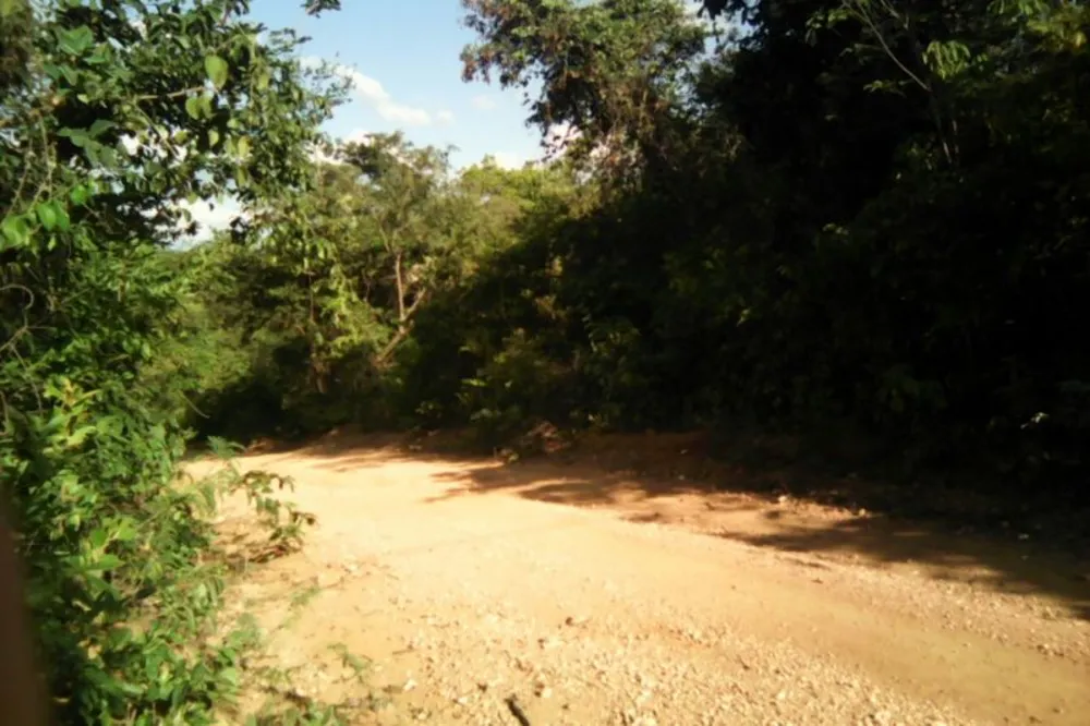 Terreno, 2 hectares - Foto 10