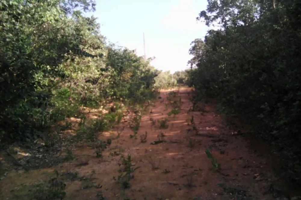 Terreno, 2 hectares - Foto 8