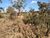 Terreno, 360 m² - Foto 3