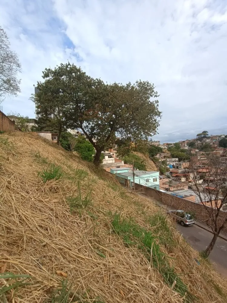 Terreno, 750 m² - Foto 6