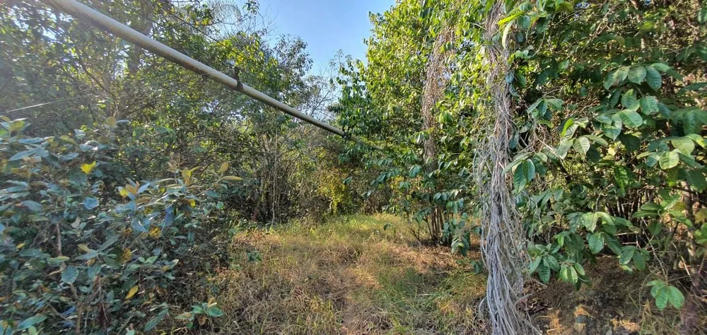 Terreno, 30000 m² - Foto 3