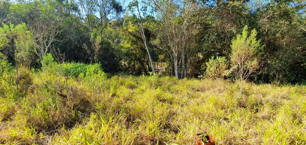 Terreno, 30000 m² - Foto 10