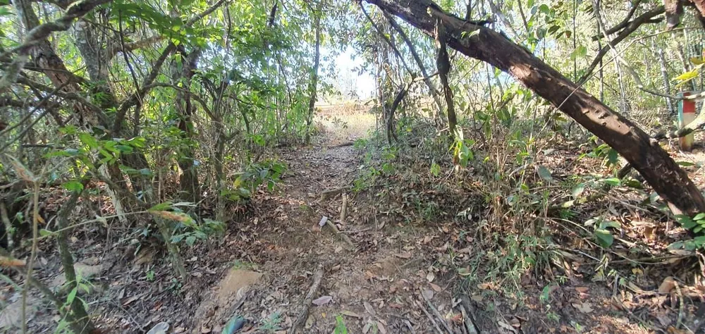 Terreno, 30000 m² - Foto 12