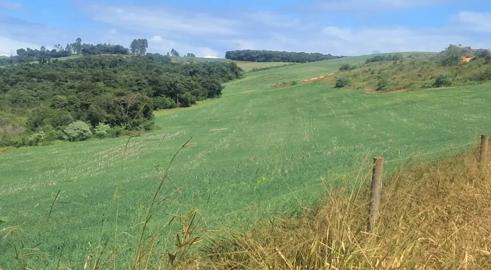 Fazenda, 69 hectares - Foto 4