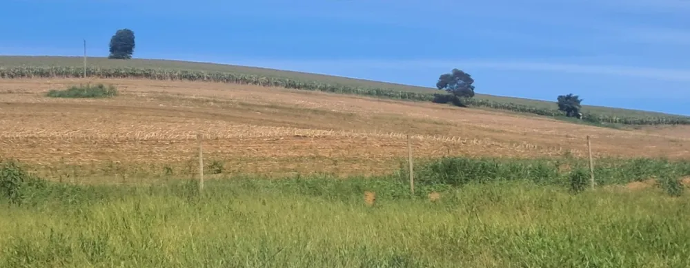 Fazenda, 69 hectares - Foto 2