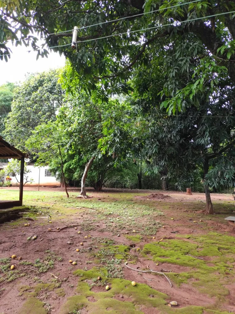 Chácara, 6 quartos - Foto 4