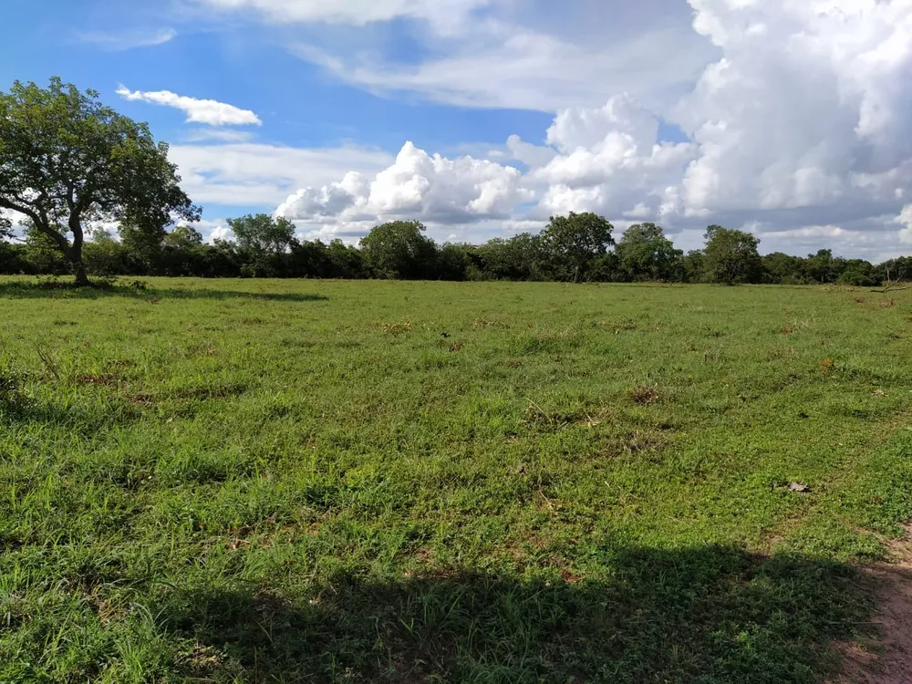 Fazenda, 2 quartos - Foto 1