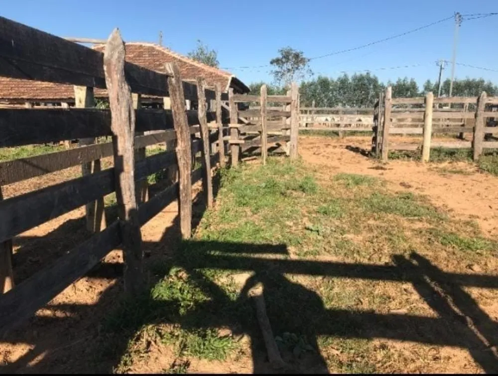 Fazenda, 2 quartos - Foto 10