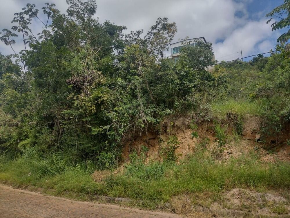 Terreno à venda, 442m² - Foto 1