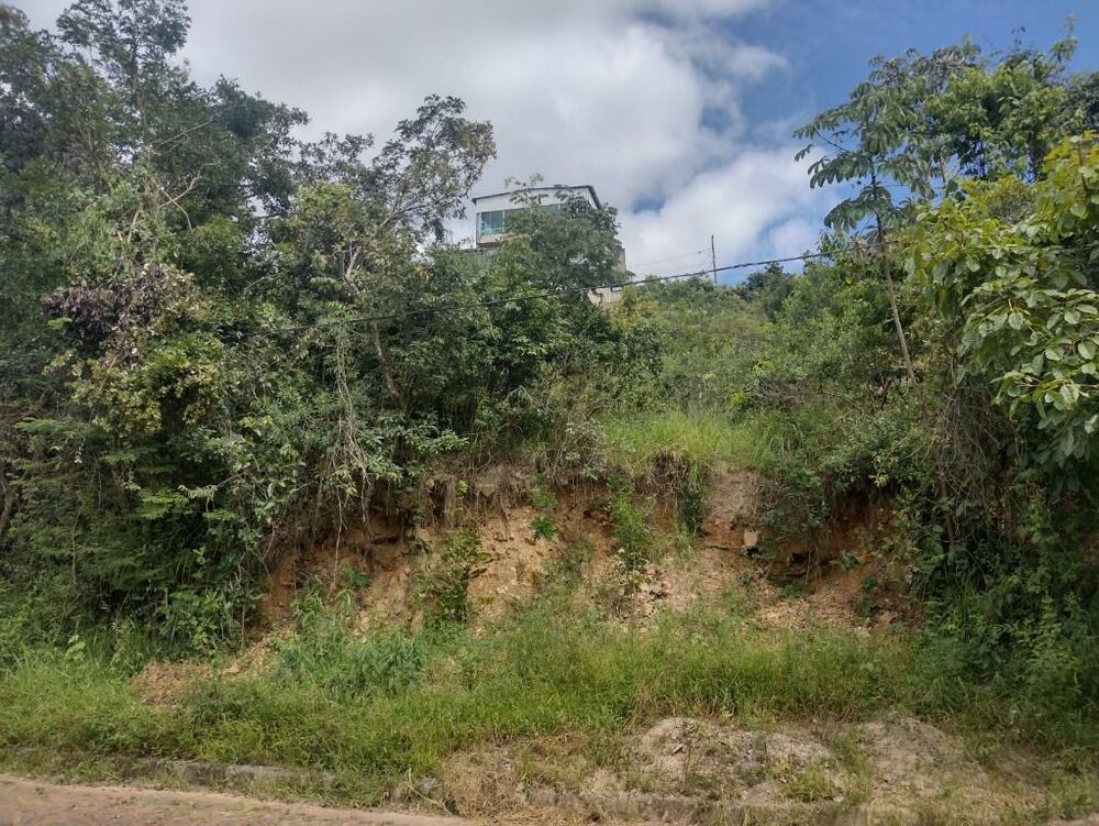 Terreno à venda, 442m² - Foto 6