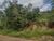 Terreno, 442 m² - Foto 1