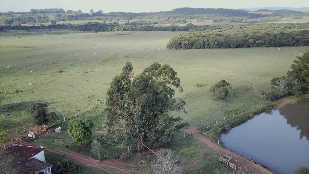 Fazenda, 261 hectares - Foto 4