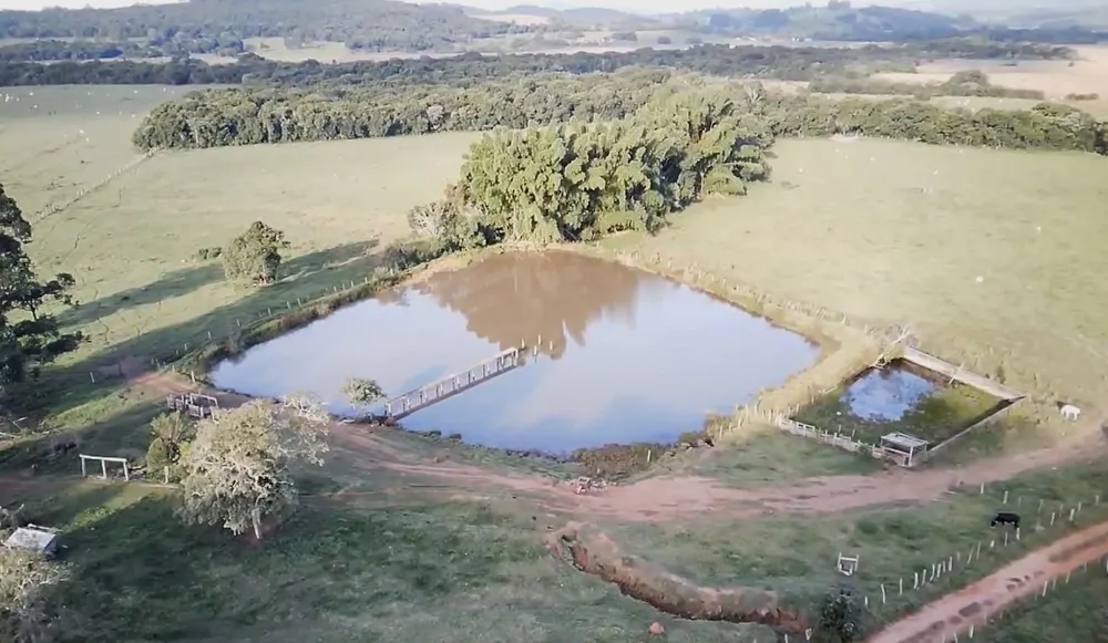 Fazenda, 261 hectares - Foto 3