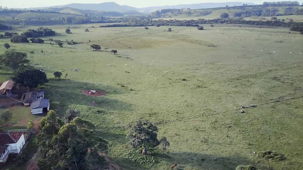 Fazenda, 261 hectares - Foto 4