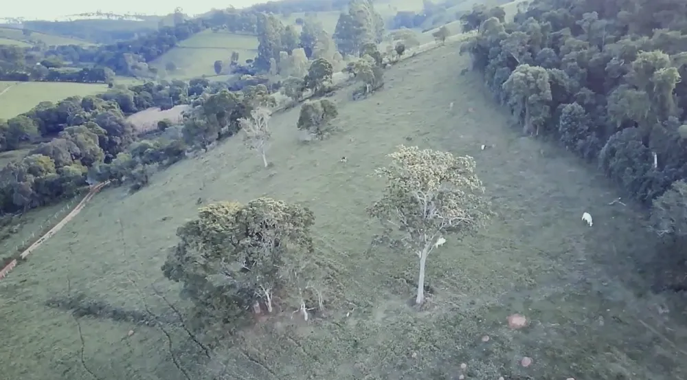 Fazenda, 261 hectares - Foto 9