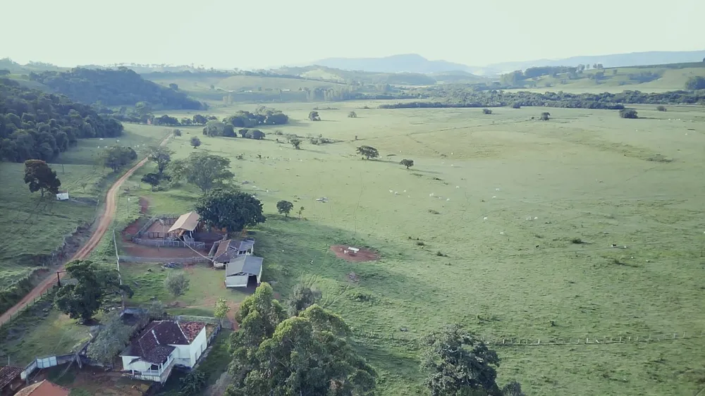 Fazenda, 261 hectares - Foto 2