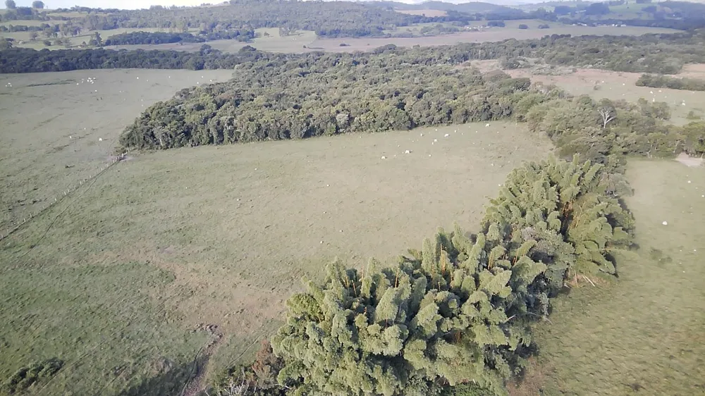Fazenda, 261 hectares - Foto 11