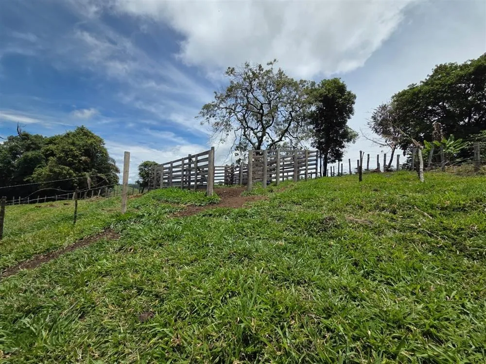 Chácara, 1 quarto - Foto 1