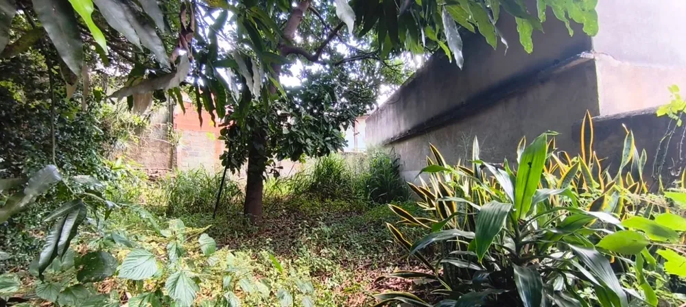 Terreno, 520 m² - Foto 3
