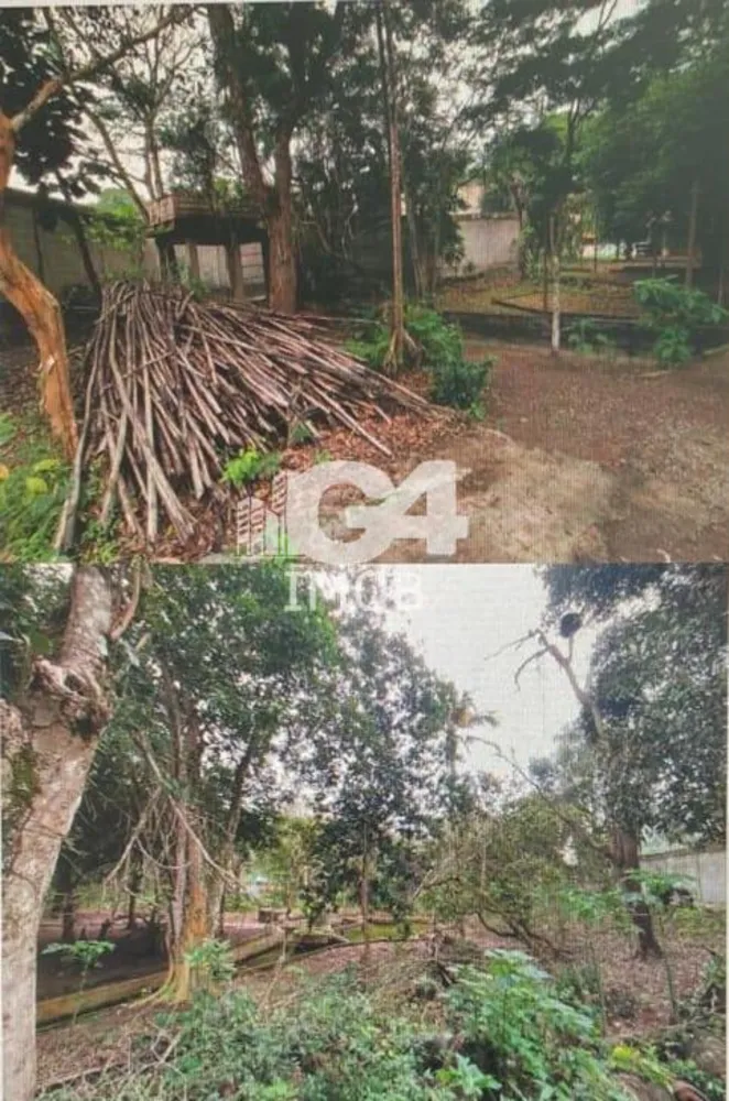 Chácara, 4 quartos, 6000 m² - Foto 7