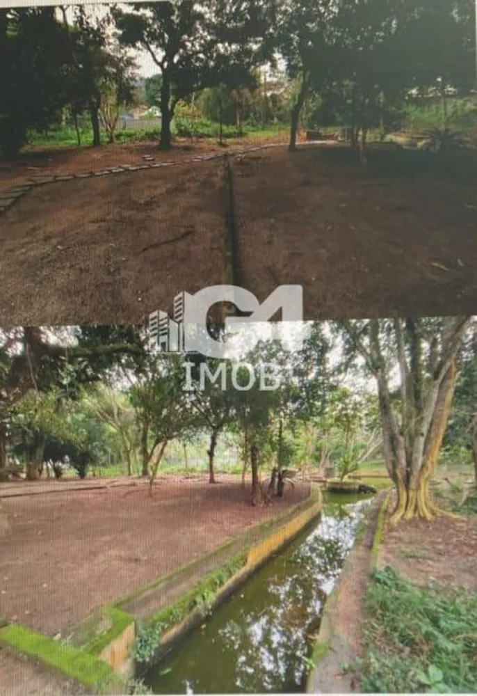 Chácara, 4 quartos, 6000 m² - Foto 10