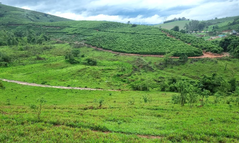 Fazenda, 90 hectares - Foto 7