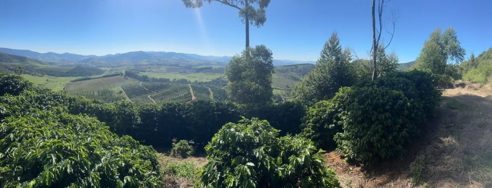Fazenda, 90 hectares - Foto 3
