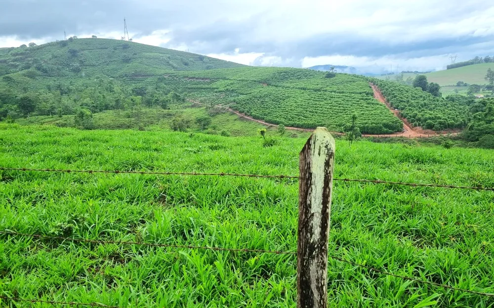 Fazenda, 90 hectares - Foto 7