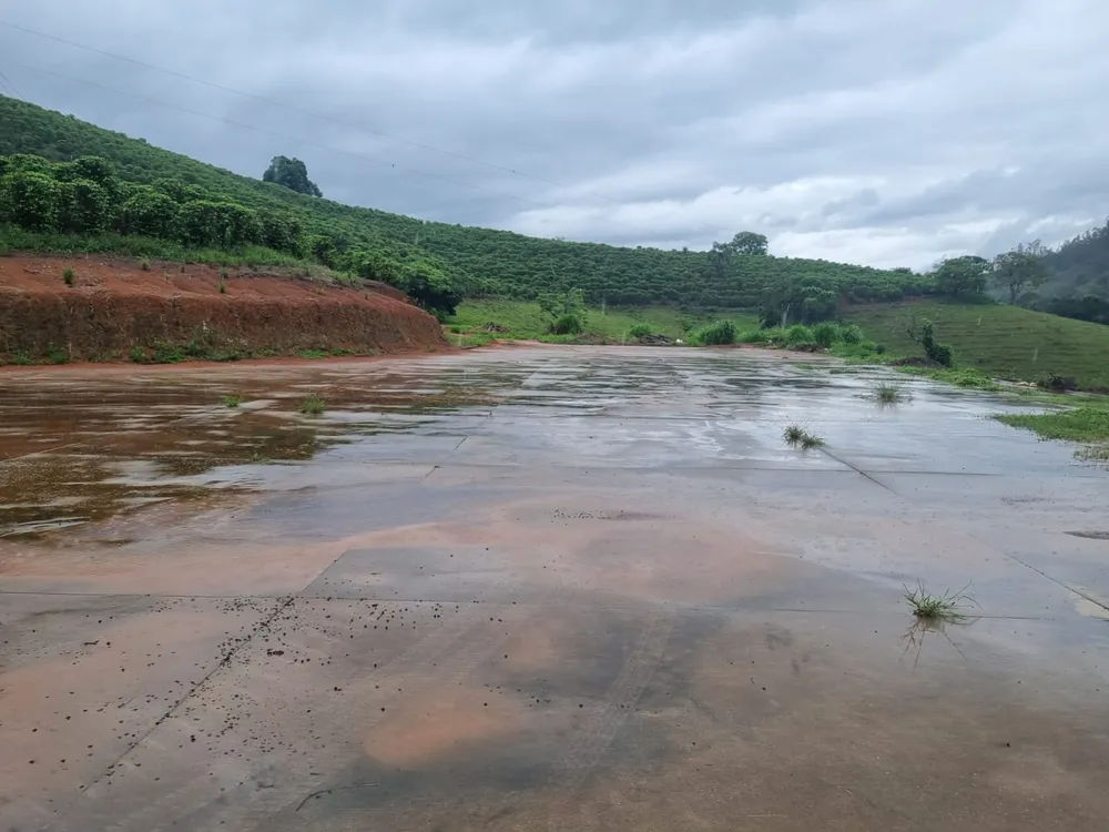 Fazenda, 90 hectares - Foto 14