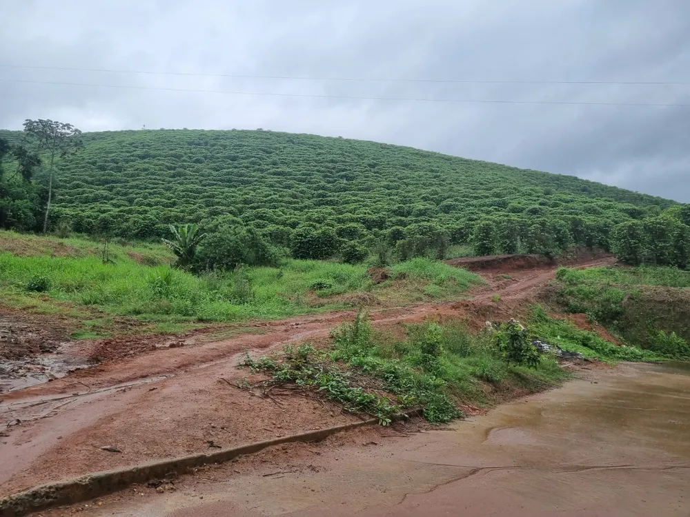 Fazenda, 90 hectares - Foto 6