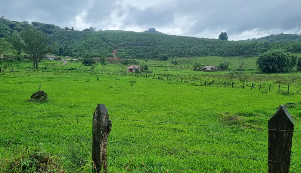 Fazenda, 90 hectares - Foto 12